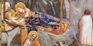 Nella magica notte di Natale anche gli animali parlano