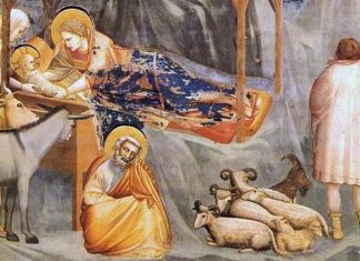 Nella magica notte di Natale anche gli animali parlano