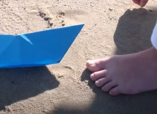 Isc Centro, ai giovani cineasti della Scuola Curzi il Premio Unicef del Festival di Torino