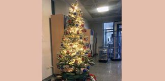 “Un libro sotto l’albero”, libri e giochi per grandi e piccini nella Biblioteca di San Benedetto