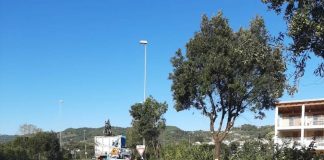 Grottammare, lavori di potatura per una migliore visibilità lungo la bretella autostradale