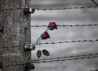 Auschwitz, quel dolore antico che non passa mai