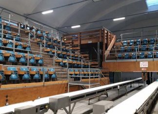 San Benedetto, ultimo giorno di scuola al Mercato Ittico per gli alunni della “Marchegiani”