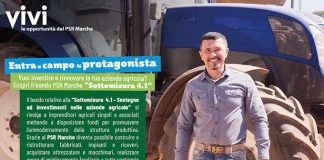 “Sostegno ad investimenti nelle aziende agricole”, a Cagli il seminario del Bando Sottomisura 4.0