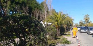 Parchi e aree verdi: interventi in viale De Gasperi, via Monfalcone, sul lungomare e all’ex Camping