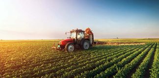 Bolletta salata anche in campagna, Coldiretti Marche: «Serve piano per biometano agricolo»