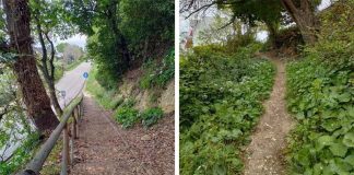 Grottammare, nuova vita alle aree verdi lungo la Sp Cuprense