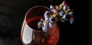 “I Vinalia del 23 aprile nel Piceno”, l’archeologo Fabrizio Pesando ospite del Circolo dei Sambenedettesi