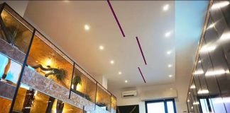 Teramo, inaugurazione del nuovo Museo paleontologico e Centro erpetologico “Ophis”