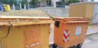 A Grottammare via i cassonetti, i rifiuti verdi si raccolgono a domicilio