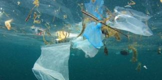 Rifiuti in mare, il 7 giugno si presenta il primo protocollo attuativo della nuova legge