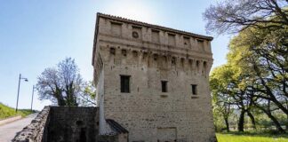 Montalto Marche, la Cantina Valdaso presenta il suo primo corso per sommelier