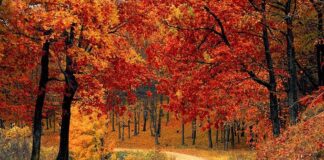 Equinozio d’autunno, tra scienza e mitologia