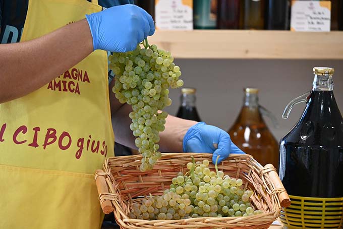 2022-10-07_uva campagna amica