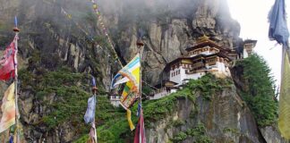 La letteratura di Paolo Cognetti e l’esplorazione interiore