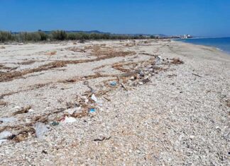 Sentina, dopo il maltempo in corso il ripristino degli spazi