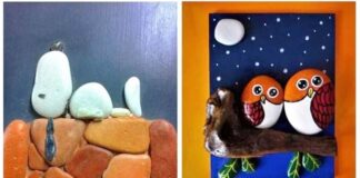 Biodanza e installazione dei sassi con l’associazione culturale Scintille