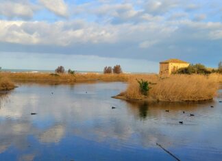 Associazione Sentina, Legambiente e Lipu:«Cosa sta succedendo nella gestione della Riserva Sentina?»