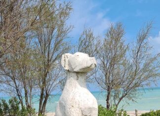 Grottammare, XXXI edizione di “Puliamo il mondo”: studenti alla Dog Beach