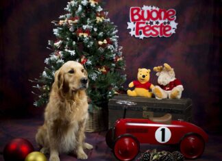 Italo, il cane guida e il senso del Natale