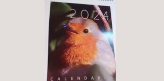 Chieti, foto dedicate agli uccelli per il calendario dello studente Carlo De Simone