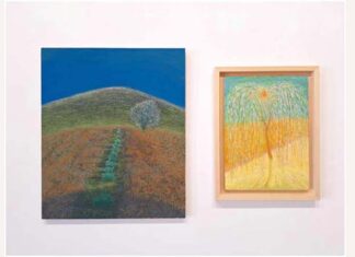 “Guardare gli alberi” e quello che c’è intorno… mostra di Enrico Pierotti a Ripatransone