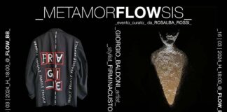 “Metamorflowsis”, le opere dell’artista Giorgio Baldoni dialogano con le creazioni di Firminacustom