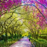 63c106a29019b9a952b0543c39e8cfdb