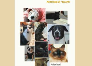 “La casa di Bingo”, un’antologia per aiutare gli animali abbandonati