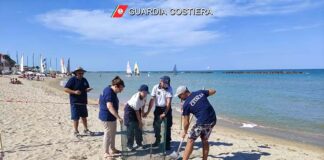 Una tartaruga marina sceglie il litorale di Cupra Marittima per deporre le sue uova