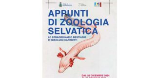 “Appunti di Zoologia Selvatica”, il 26 dicembre inaugurazione della mostra di Gianluigi Capriotti a Grottammare