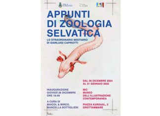 “Appunti di Zoologia Selvatica”, il 26 dicembre inaugurazione della mostra di Gianluigi Capriotti a Grottammare