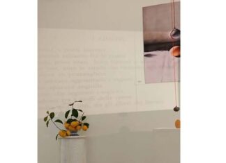 “…i gialli dei limoni” * (“Disarmonia leggera”, mostra di Paola Celi)