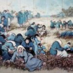 2025-06-24_murale lupo 2