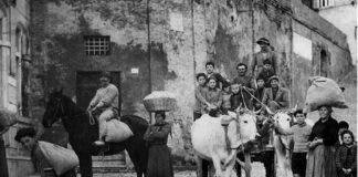 “Ritratto di una terra”, a Petritoli il libro della Carifermo dedicato alla Valdaso