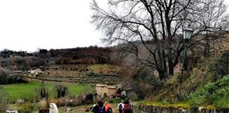 Trekking a Paggese, un’esperienza immersiva tra storia e natura