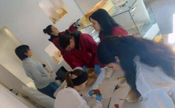 Cupra Marittima, al via il nuovo volto del Museo del Territorio: conclusa la prima fase dei lavori