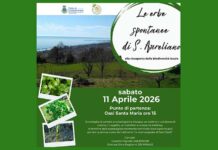“Le erbe spontanee di Sant’Aureliano”, appuntamento alla riscoperta della biodiversità locale