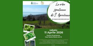 “Le erbe spontanee di Sant’Aureliano”, appuntamento alla riscoperta della biodiversità locale