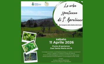“Le erbe spontanee di Sant’Aureliano”, appuntamento alla riscoperta della biodiversità locale