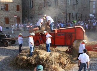 “Festa del Grano” a Ripatransone: due giorni fra tradizioni, sapori e memoria contadina
